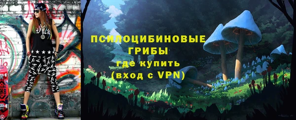 молекула духа Магадан