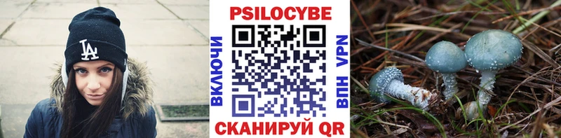 Галлюциногенные грибы Cubensis  Купить закладки  Собинка 
