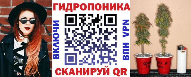 Бошки марихуана гибрид  Купить закладки  Собинка 